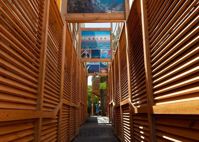 Otel The Bridge Dahab